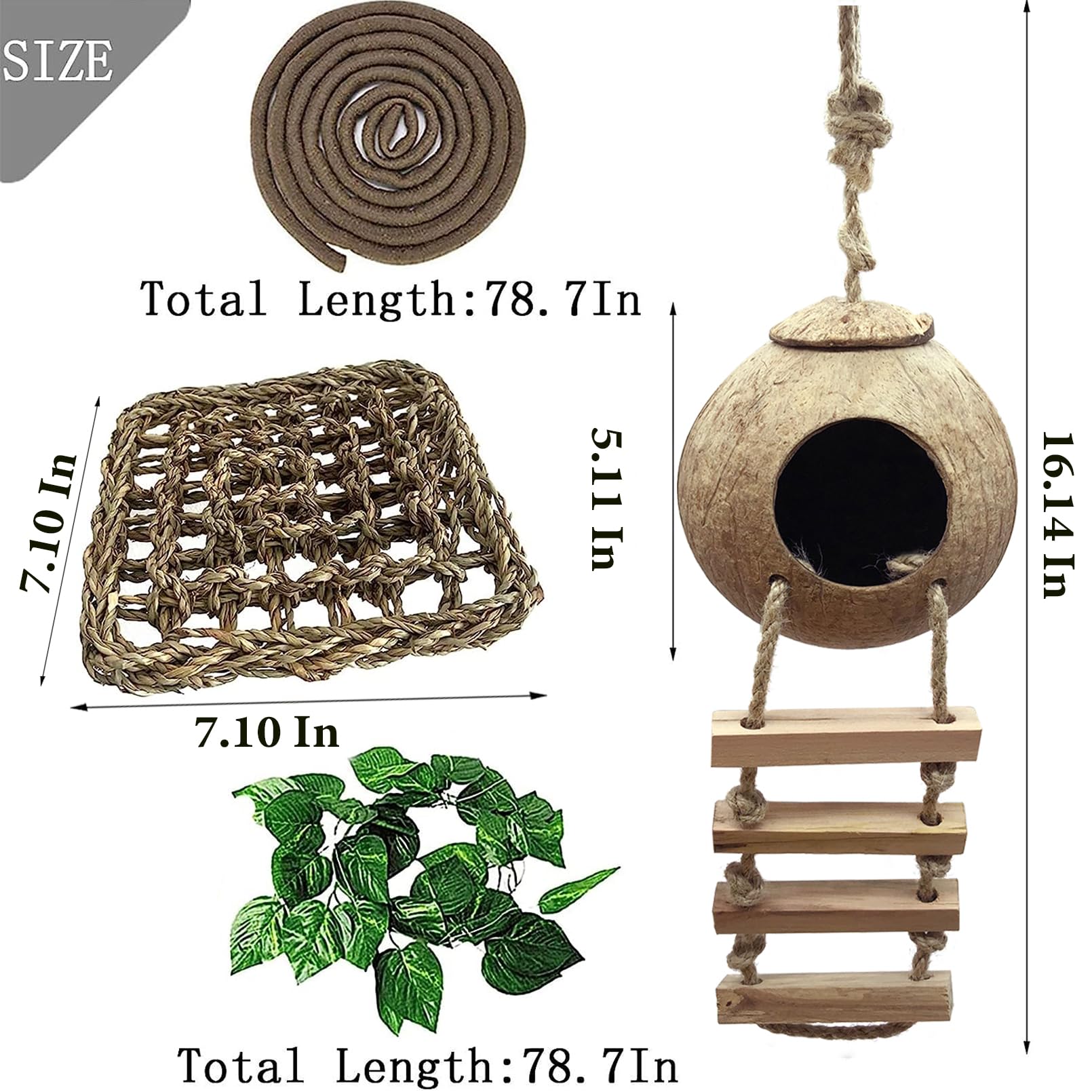 MUYG gecko hammock square provides comfy perches for lounging and exercise.