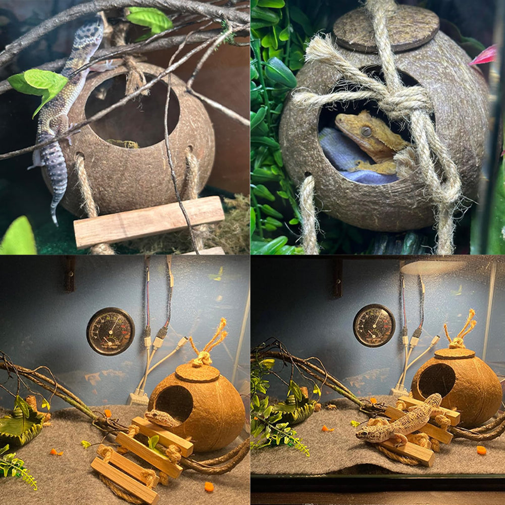 MUYG gecko hanging plants with large leaves create leafy hiding spots.