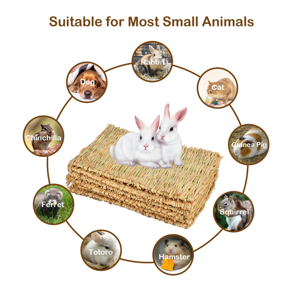 MUYG Rabbit Grass Mat size 11.0x8.3x0.2 inches offering compact bedding.