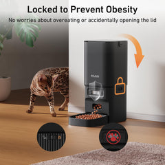 MUBBI meal plan setup demonstrates adjustable 1-6 daily meals for pets