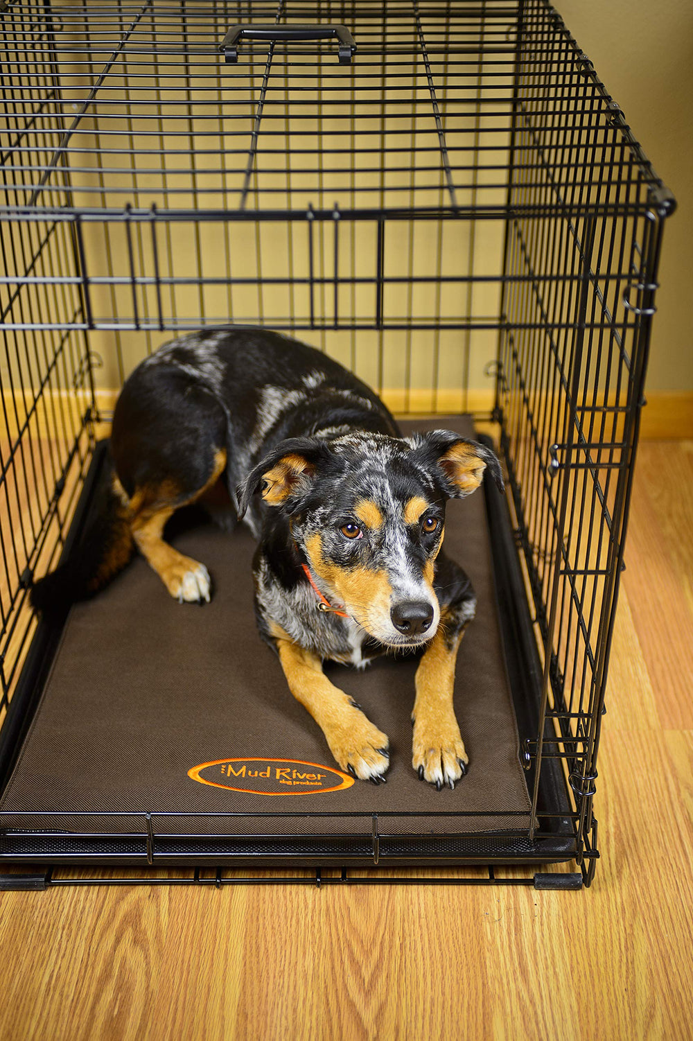 Mud River Crate Cushion foam padding closeup highlights 1-inch support for relaxed rest.