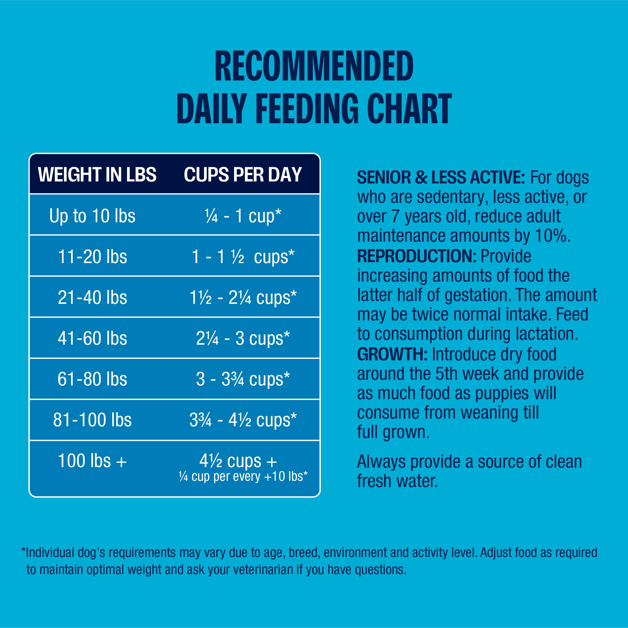 Muenster Ocean Fish serving bowl with dry dog food indicating easy portioning and palatability