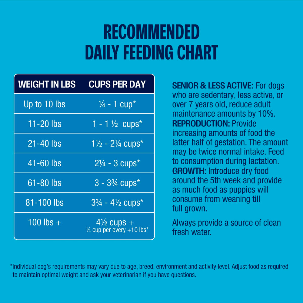 Muenster Ocean Fish serving bowl with dry dog food indicating easy portioning and palatability
