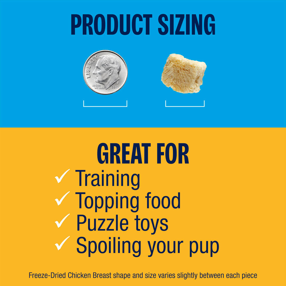 Muenster freeze-dried chicken bites texture close-up reveals crisp, protein-rich bite.