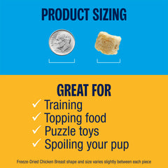 Muenster freeze-dried chicken bites texture close-up reveals crisp, protein-rich bite.