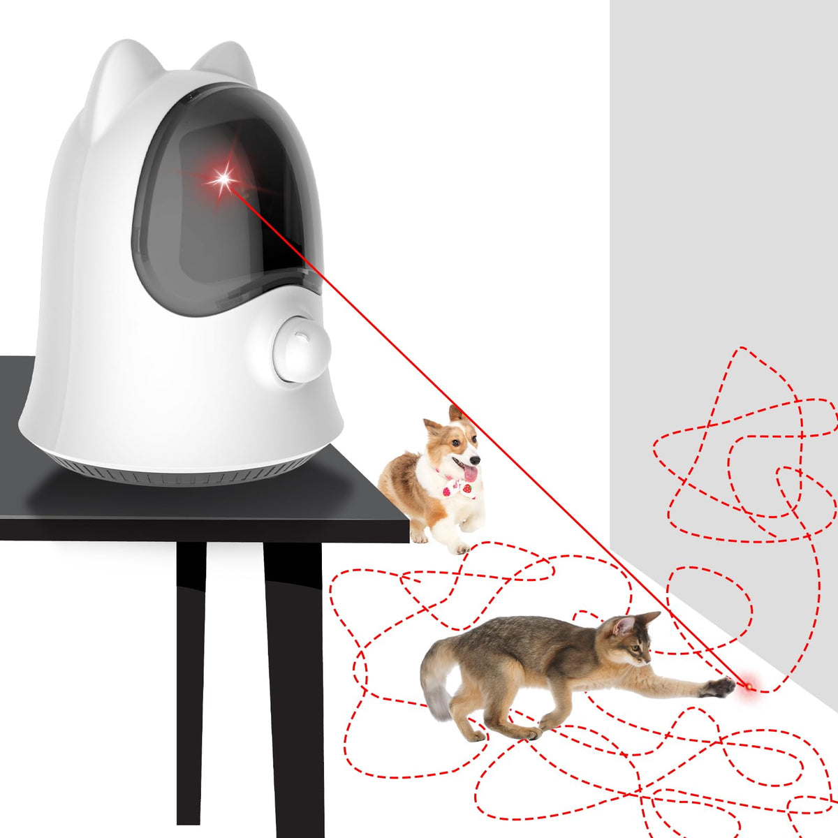 Muhhiba cat laser toy random trajectory shows unpredictable movement for engaging play