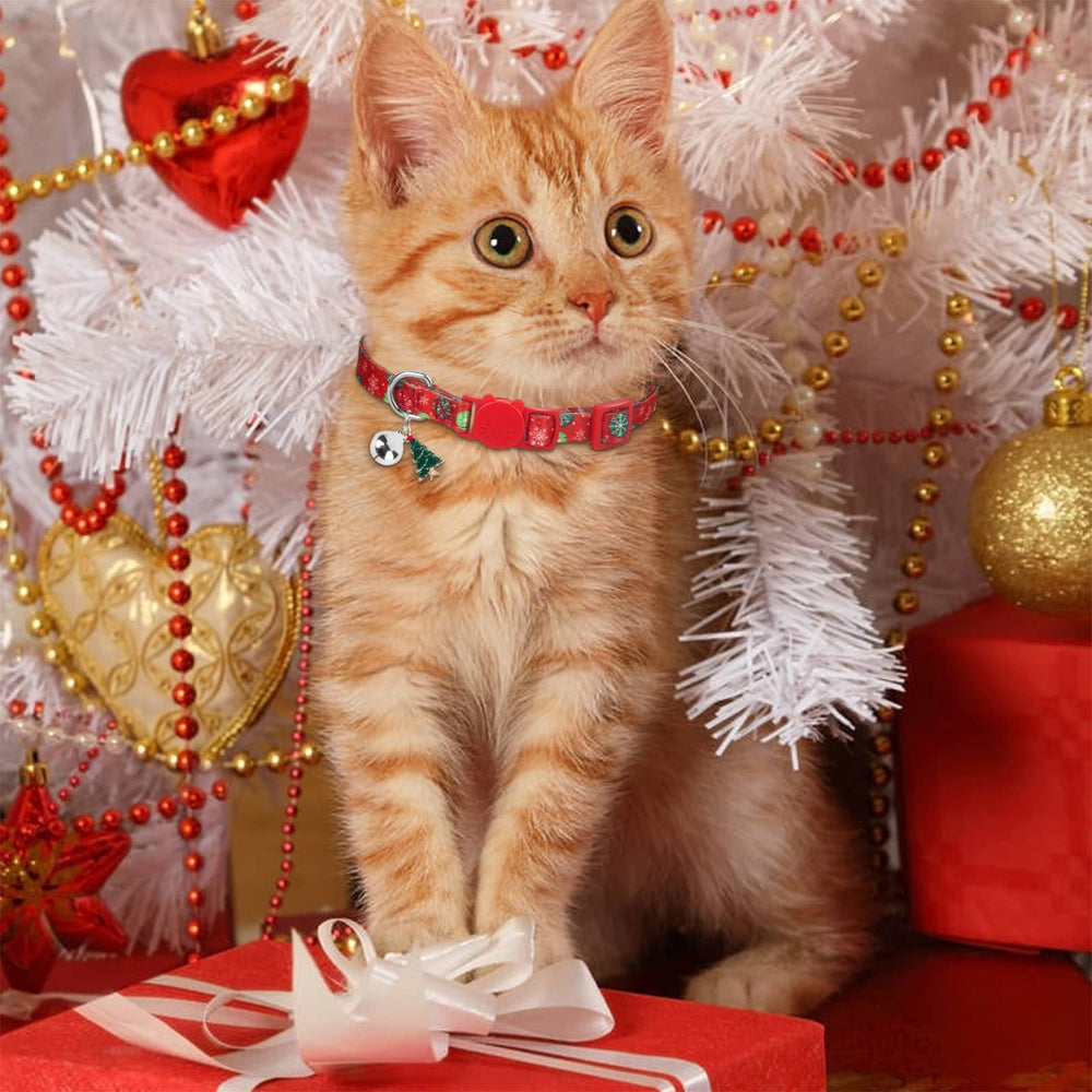 muiyrtuy colorful collar set in red, green, blue highlights holiday options.