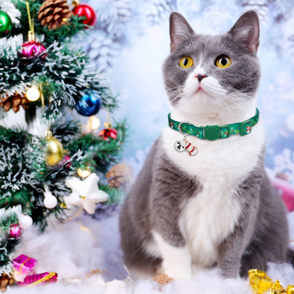 muiyrtuy safety buckle cat collar demonstrates quick-release for pet safety.