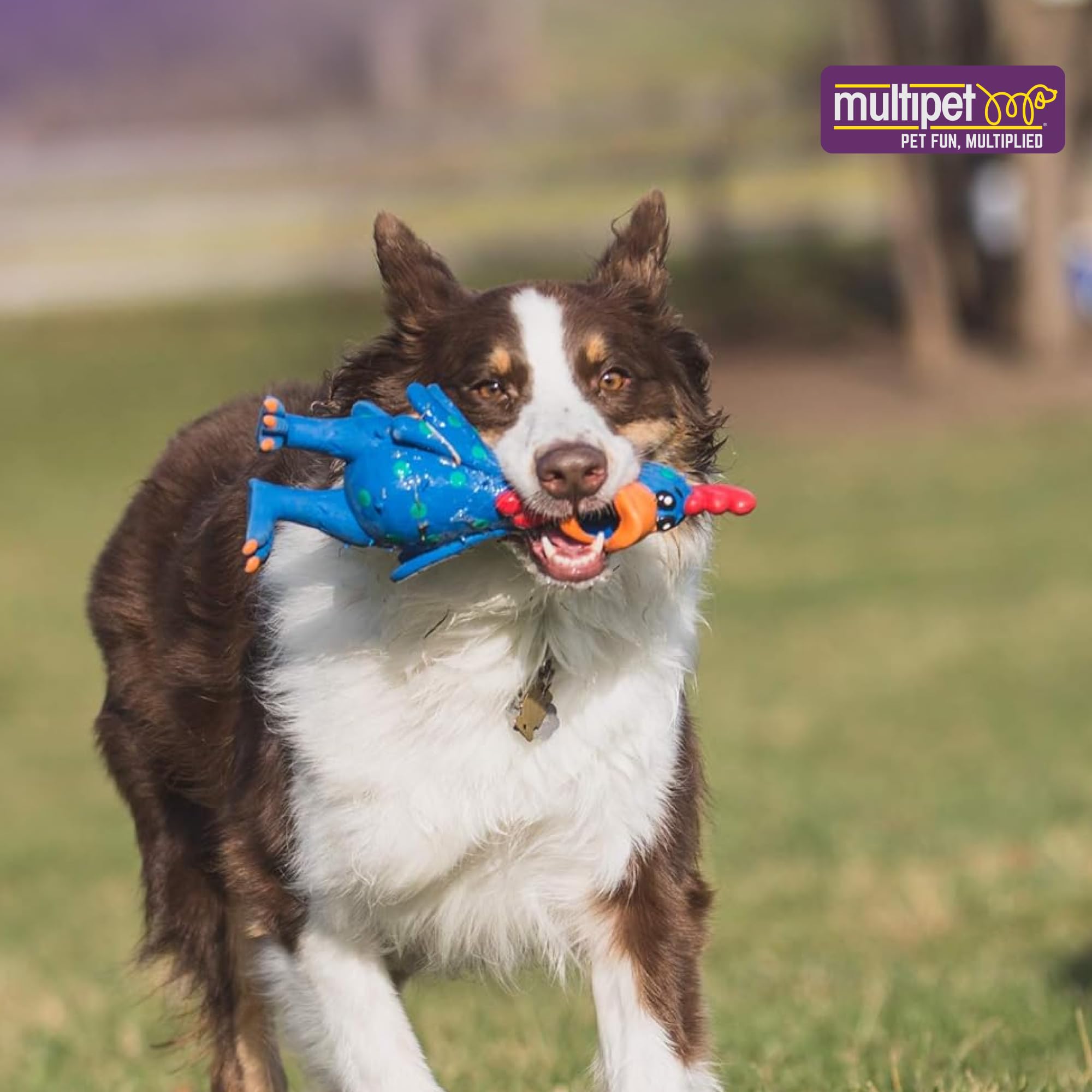 Multipet Globkens chicken supports supervised play for safer fun.