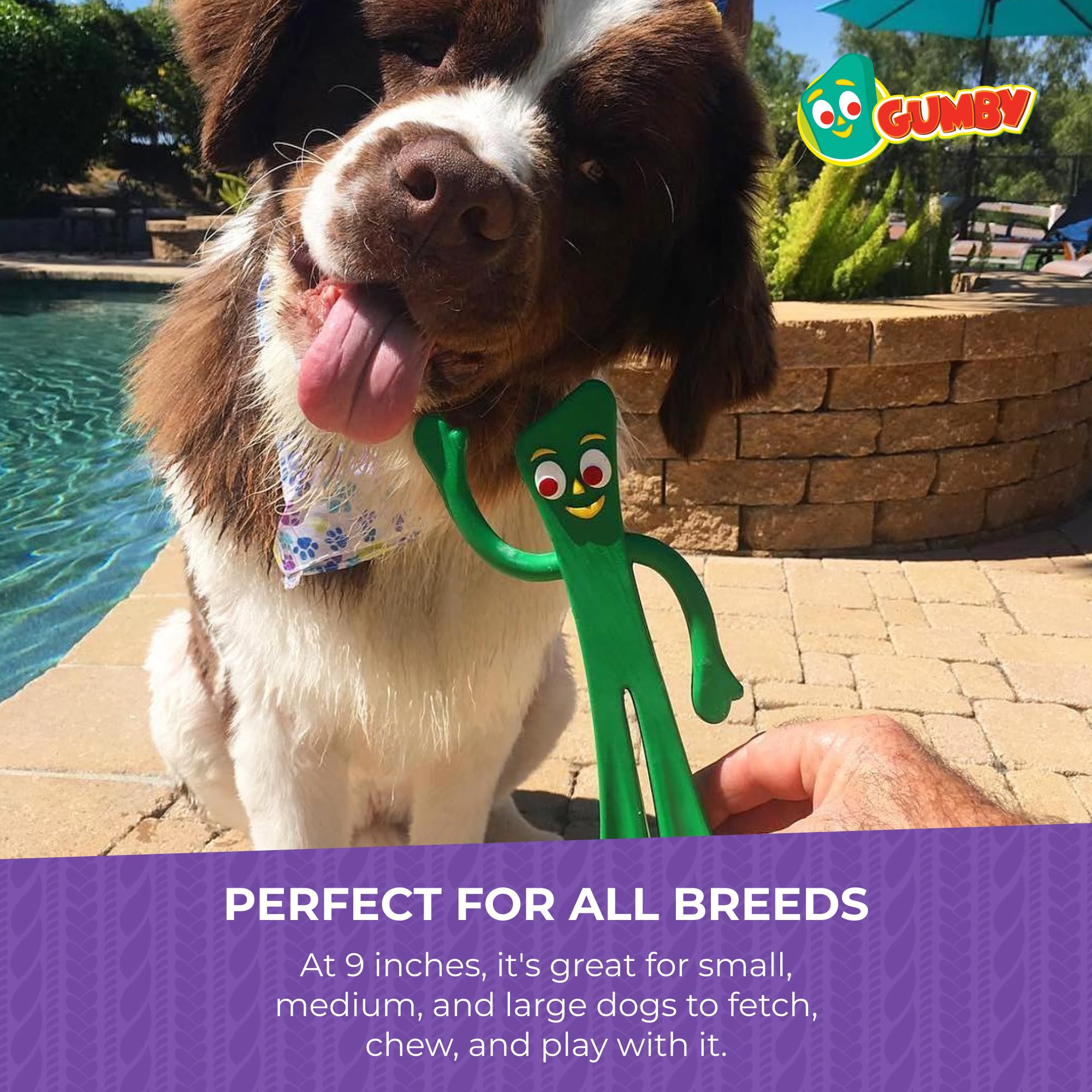 Multipet Gumby dog toy with squeak supports solo play and entertainment.