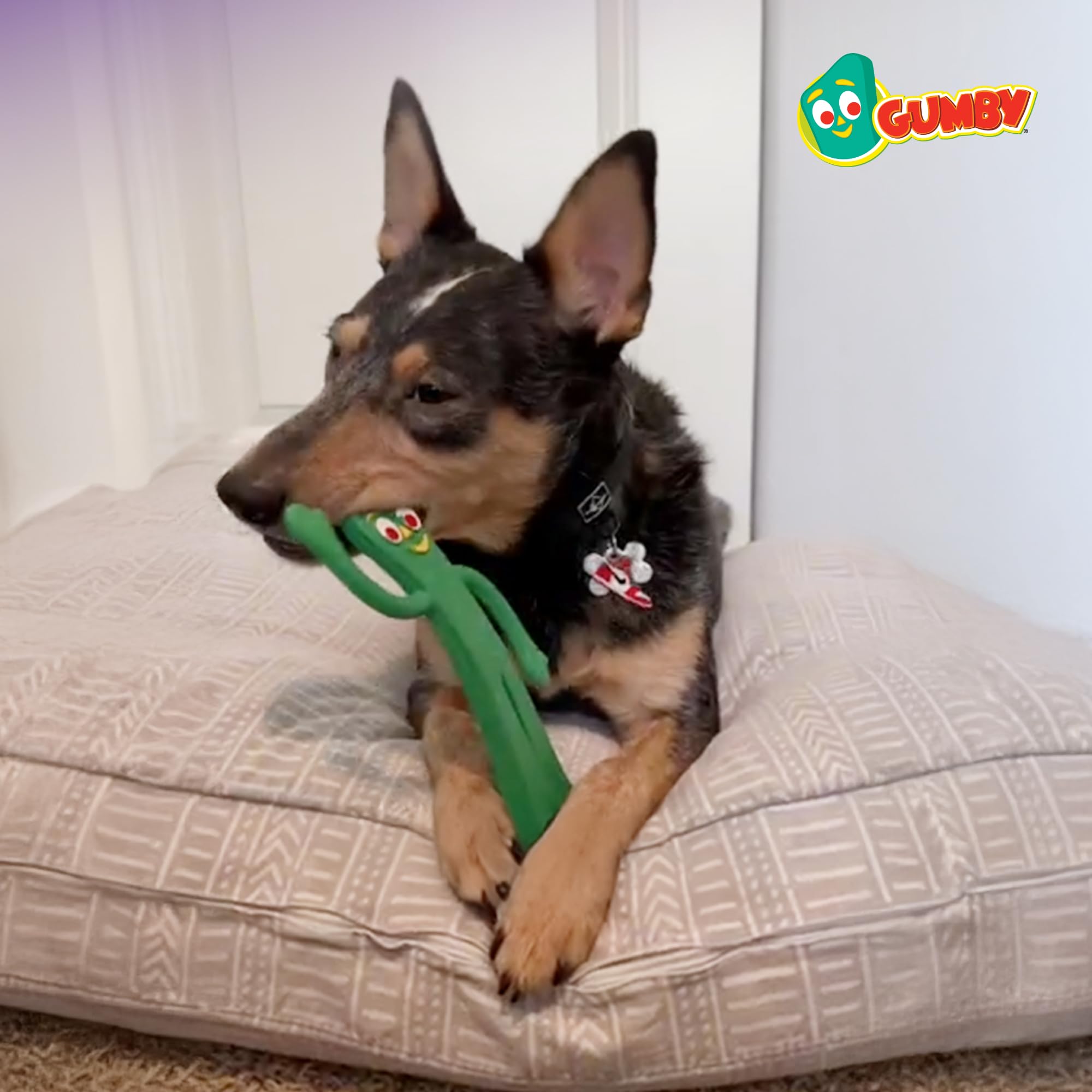 Multipet Gumby rubber toy ready for outdoor play and friendly tug.