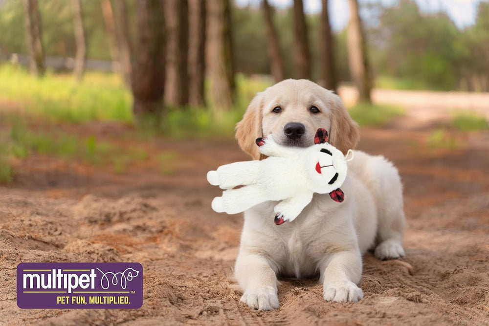 Multipet Lambchop holiday packaging image suitable for gift-giving.