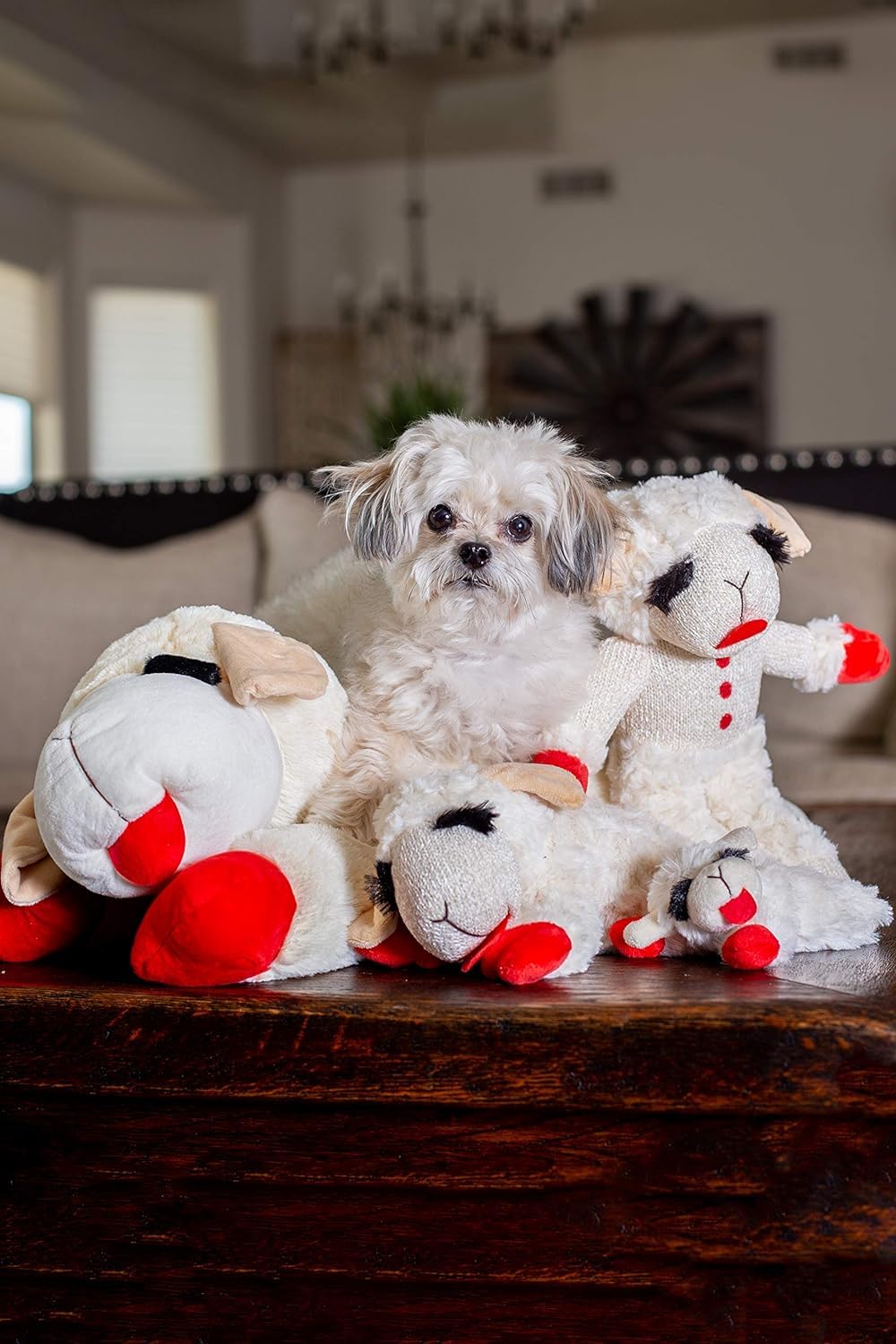 Multipet Lamb Chop 10in squeaker dog toy enhances interactive play and excitement.