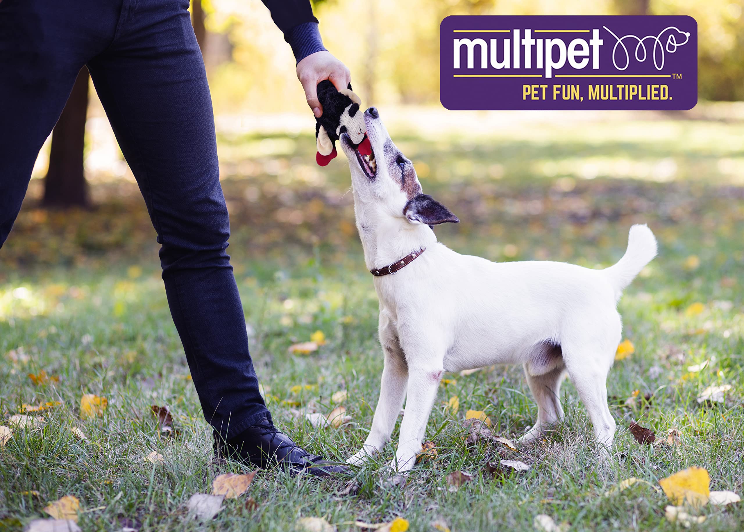 Multipet Lamb Chop plush chew toy offers long-lasting playtime