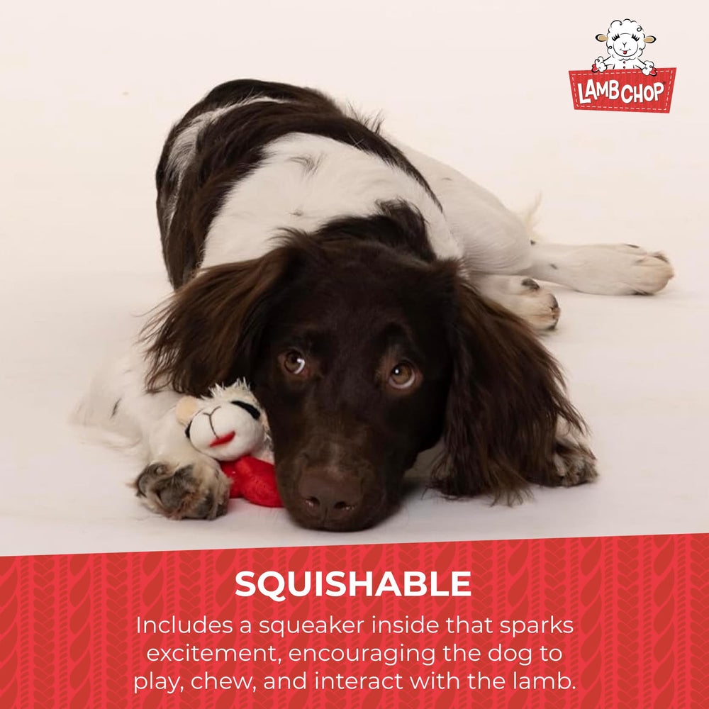 Multipet Lamb Chop invites dogs of all sizes to cuddle and play.