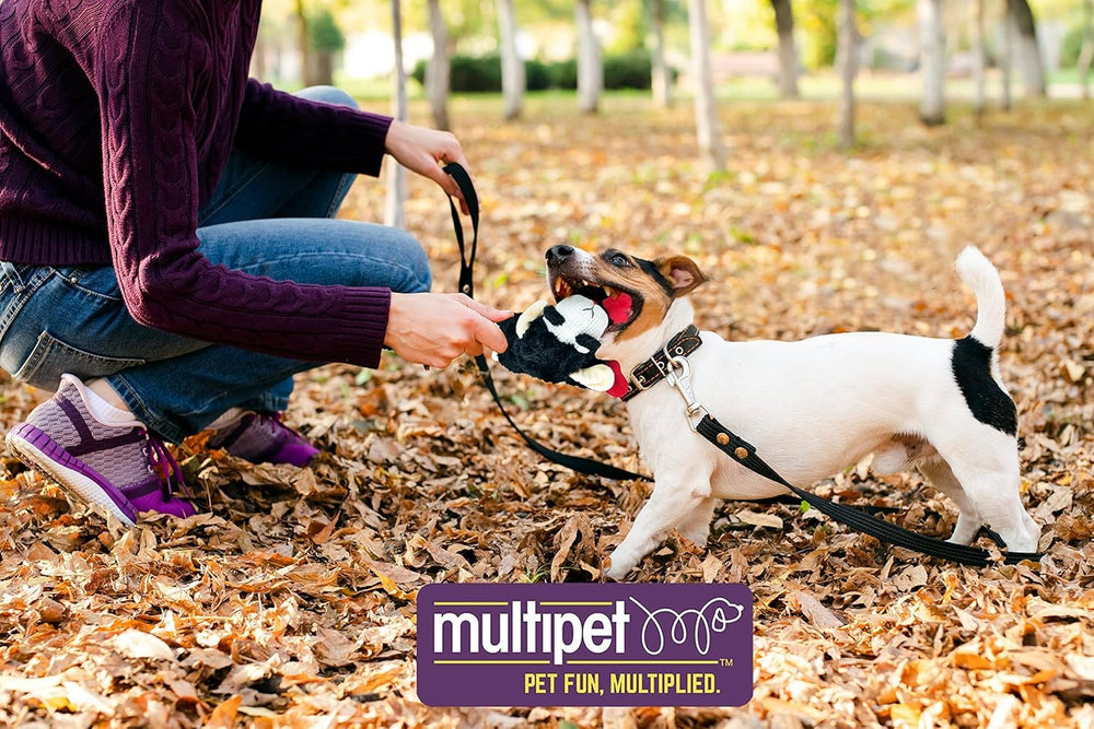 Multipet Lamb Chop in action demonstrates chew-friendly play opportunities