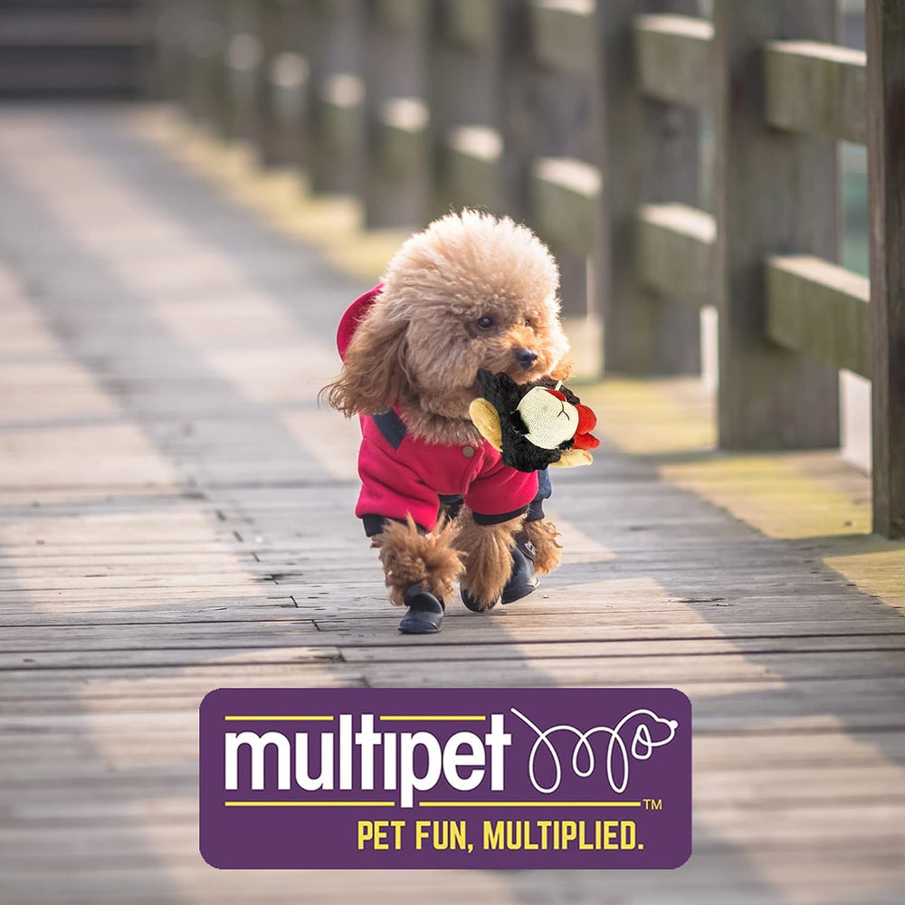 Multipet Lamb Chop packaging and branding aids quick purchase decisions