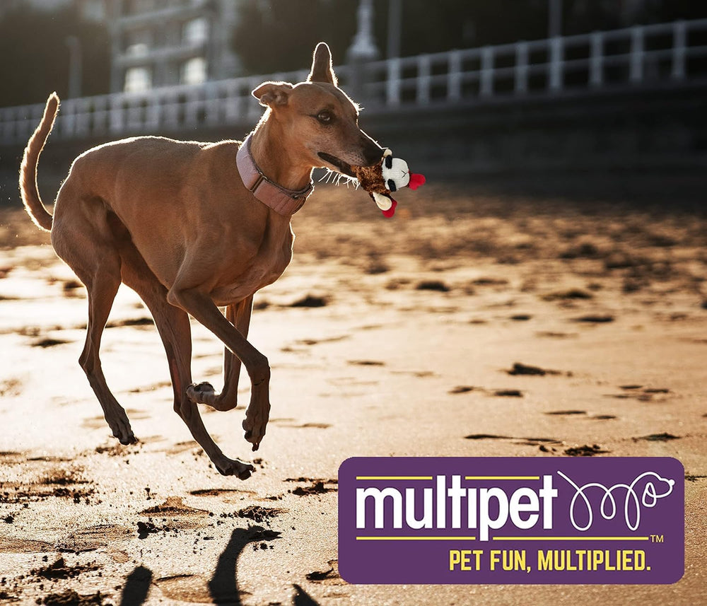 Multipet Lamb Chop mini 6in squeaker inside promises lively squeaks during interactive play