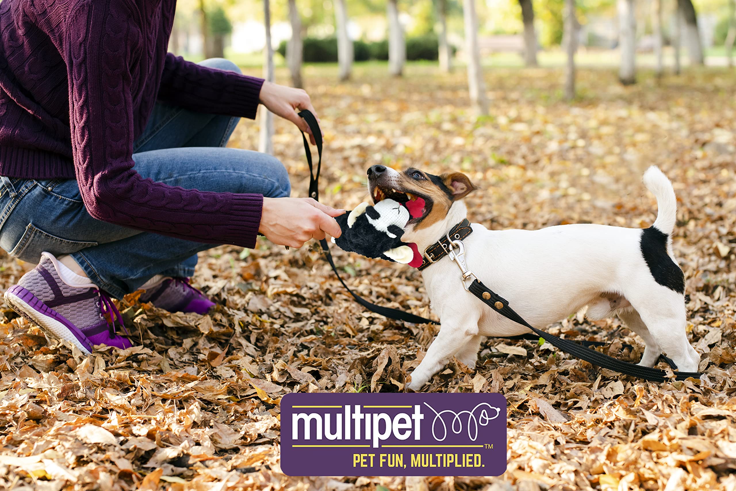 Multipet Lamb Chop during playtime outdoors for fetch and enrichment