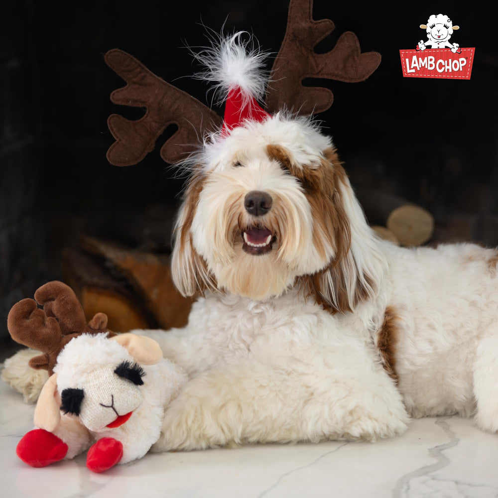 Multipet Lamb Chop cream plush texture for cozy snuggles.