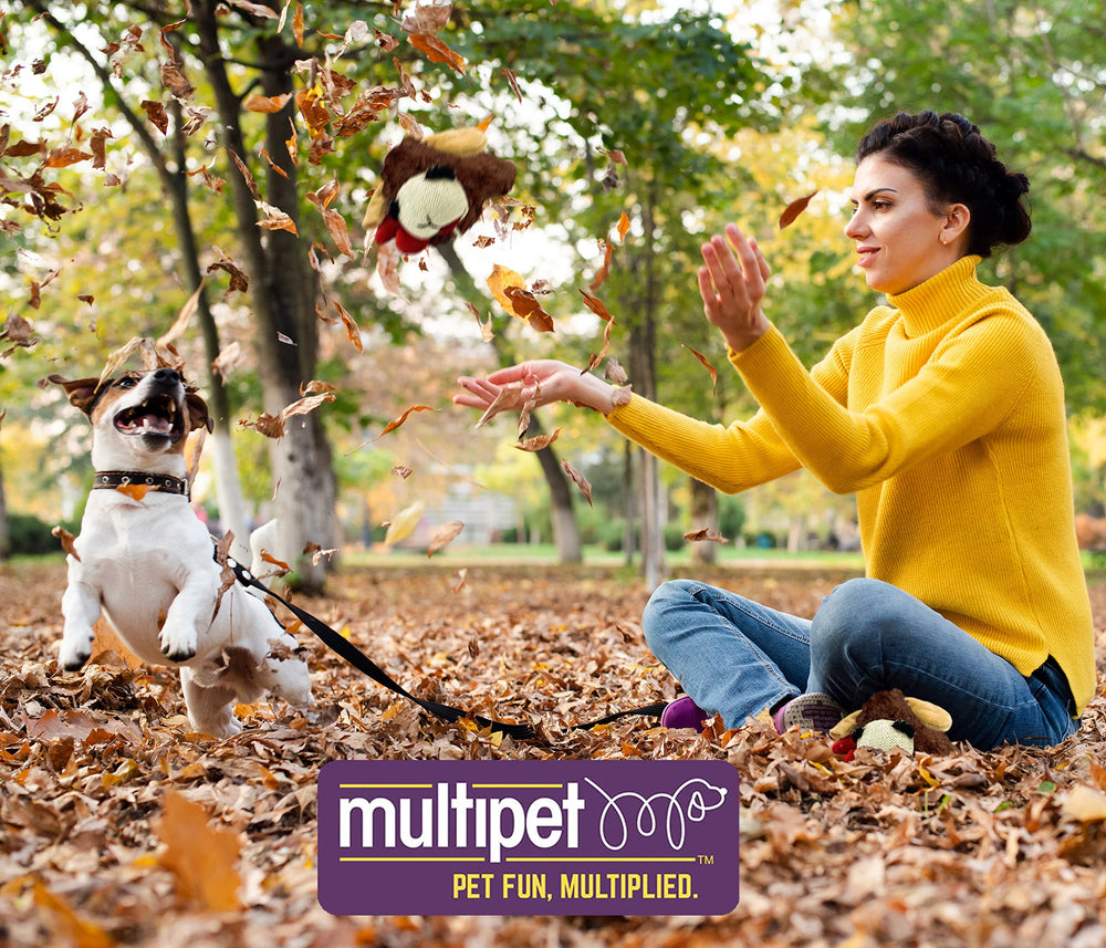 Multipet Lamb Chop toy close-up showing internal squeaker for interactive play