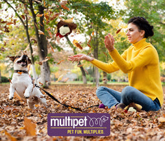 Multipet Lamb Chop toy close-up showing internal squeaker for interactive play