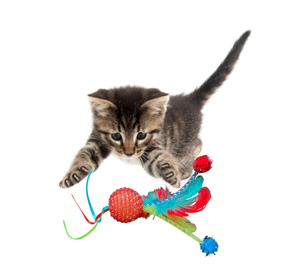 Multipet feather ball toy close-up shows vibrant feathers and mesh texture.