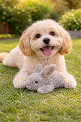 Multipet Thumperz reinforced stitching supports durable play sessions for lasting fun.