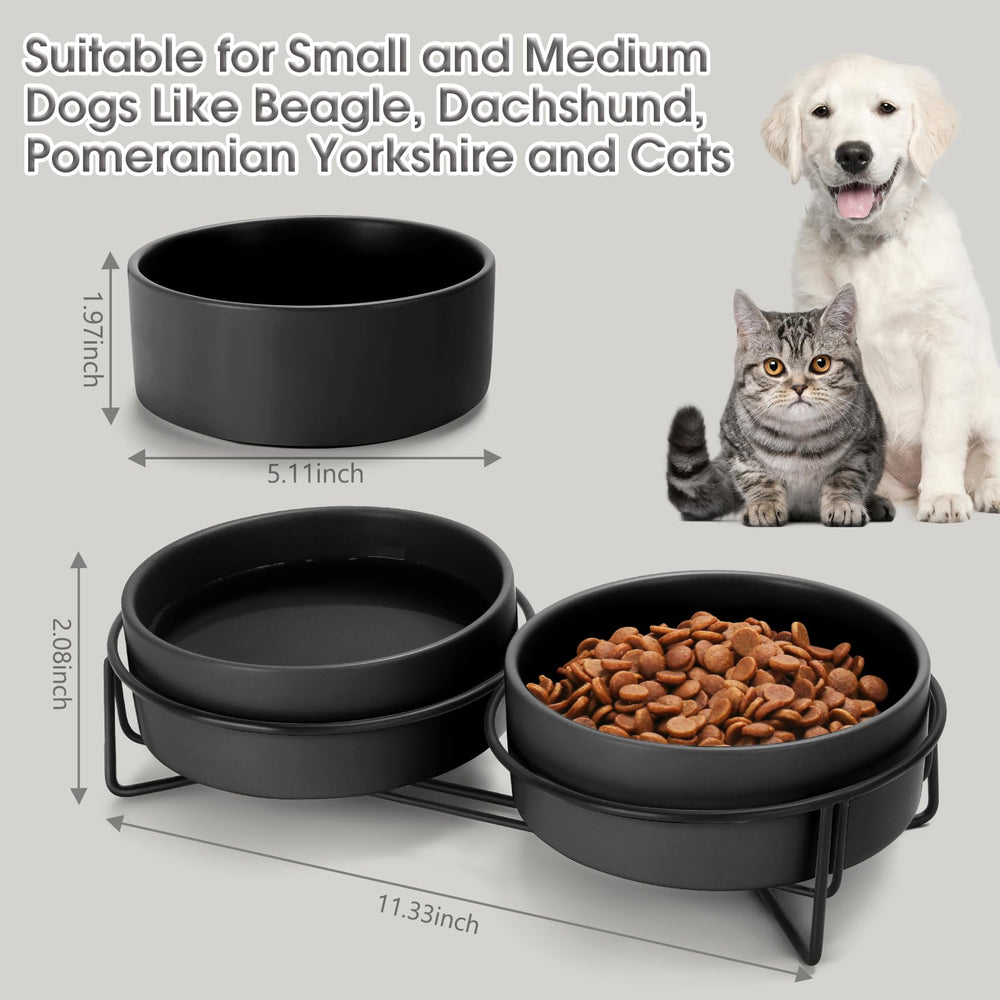 MultiOutools ceramic bowls on an anti-slip stand keep feeding tidy and mess-free.
