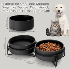 MultiOutools ceramic bowls on an anti-slip stand keep feeding tidy and mess-free.