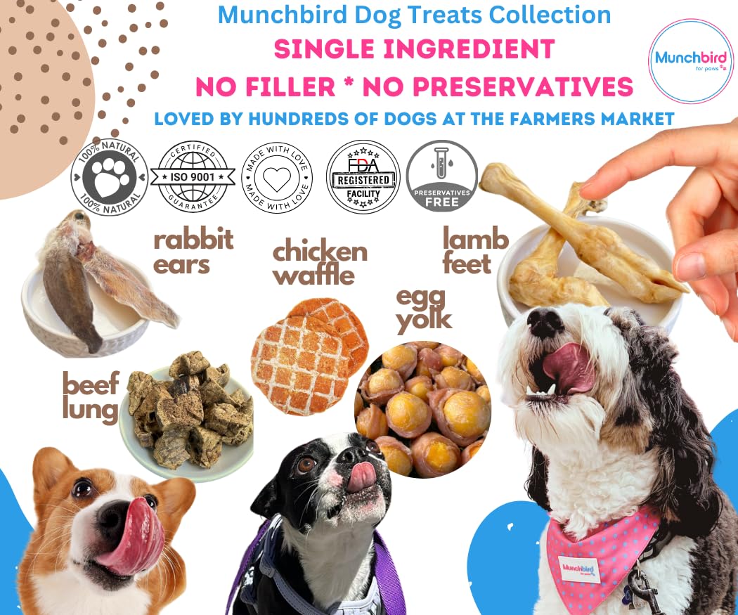 Munchbird rabbit ears healthy-joint support—calcium-rich bites may help mobility for active dogs.