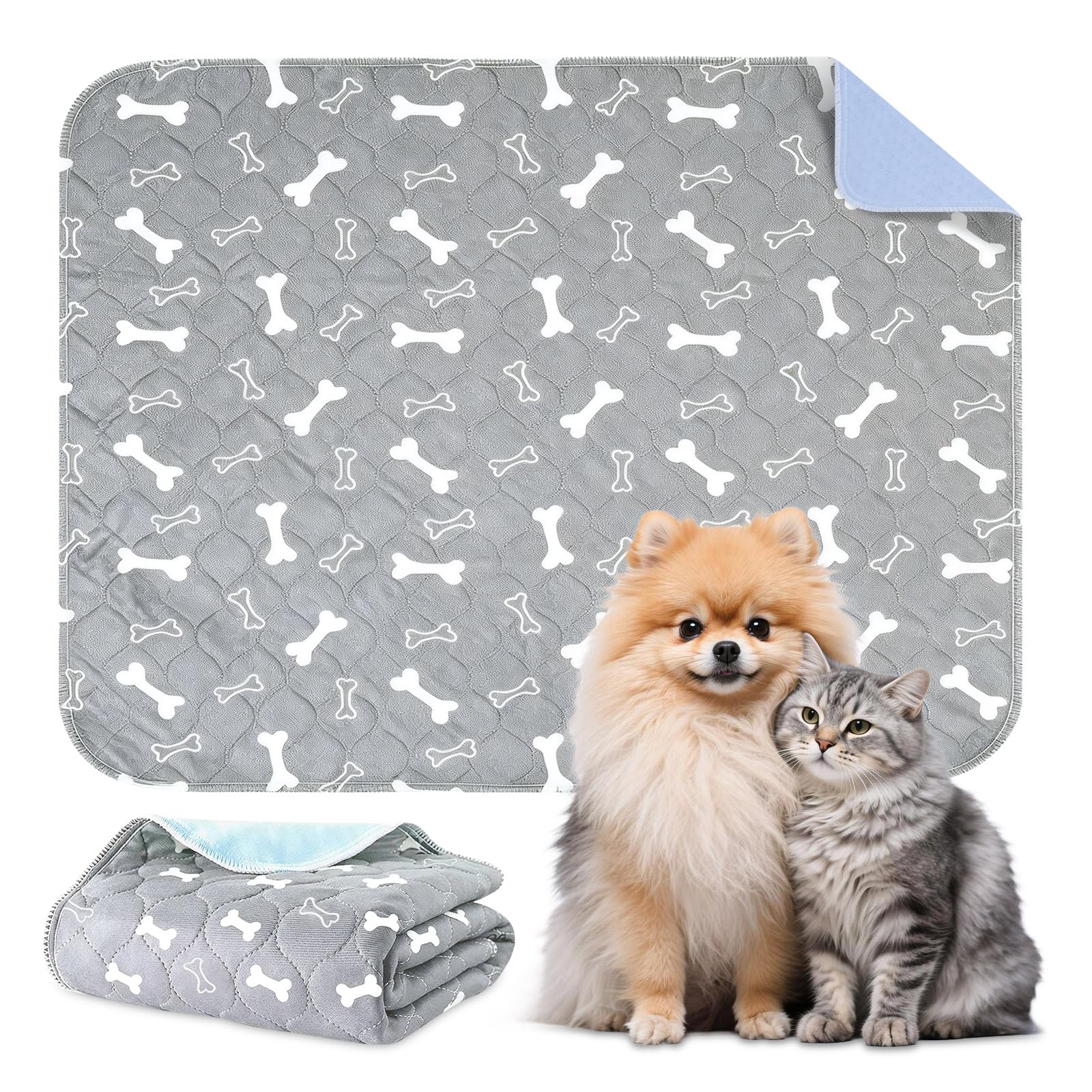 Muoyid eco-friendly packaging highlights sustainable choice for pet parents