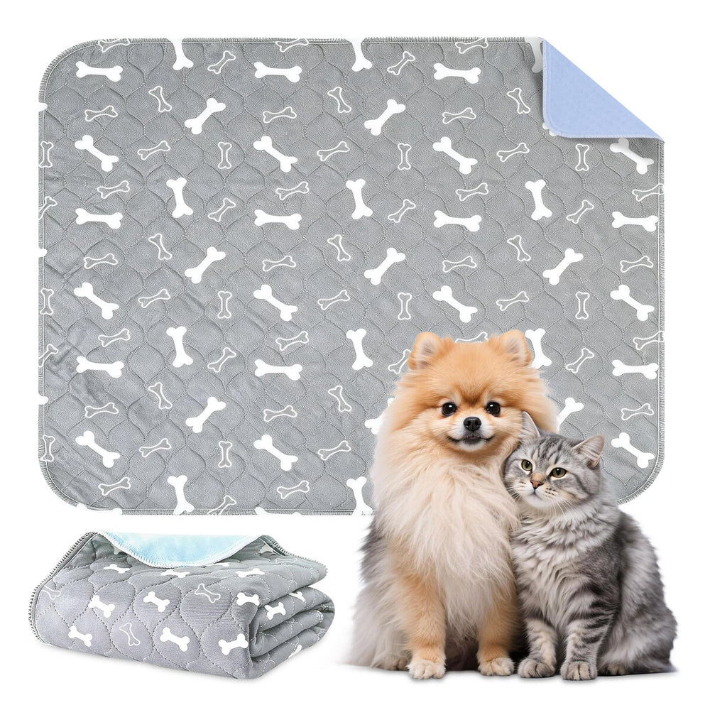 Muoyid eco-friendly packaging highlights sustainable choice for pet parents