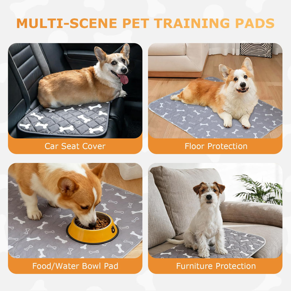 Muoyid indoor training setup shows easy-to-clean pad laid flat