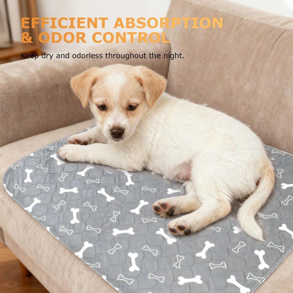 Muoyid pheromone pad with odor-proof backlayer for cleaner indoor spaces