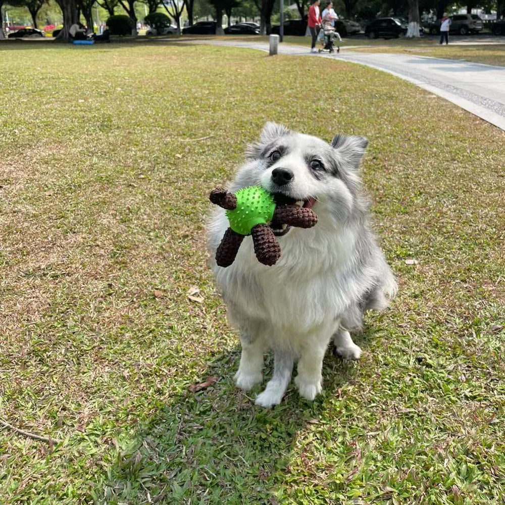 MUQMD squeaky dog toy beef-flavored rubber entices chewing and flavor interest