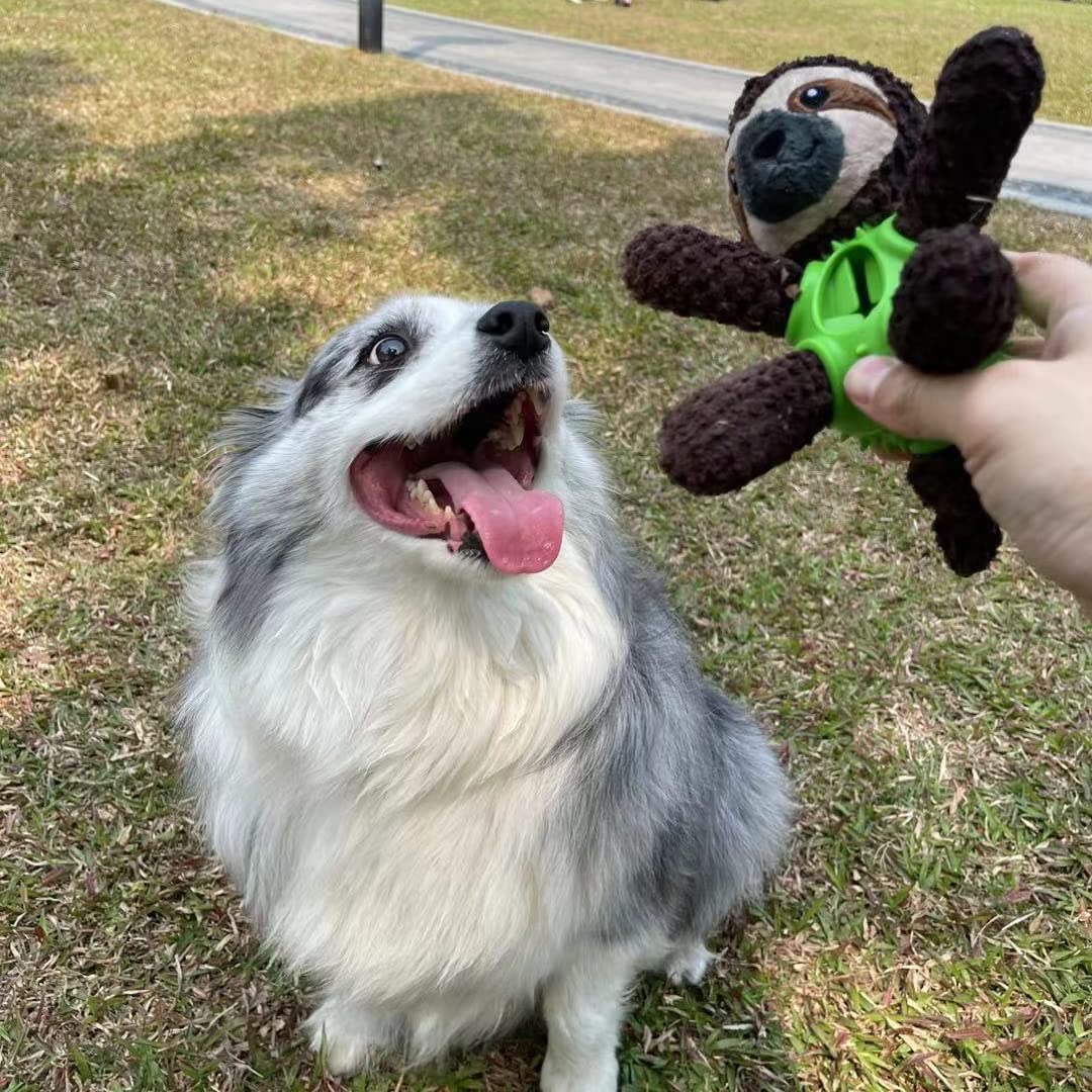 MUQMD squeaky dog toy indoor-outdoor play suits home and yard