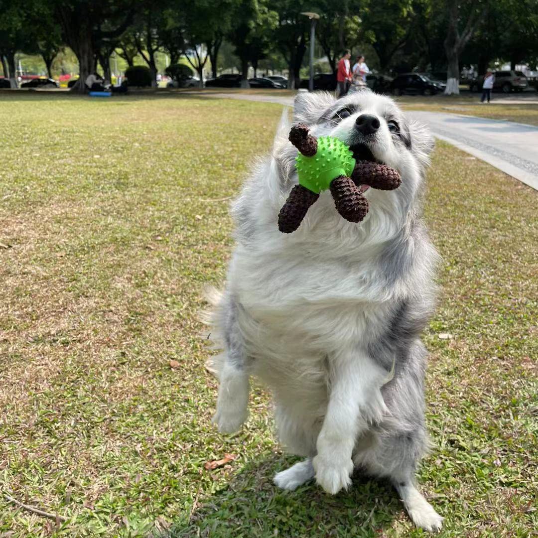 MUQMD squeaky dog toy waterproof inner layer helps keep stuffing clean