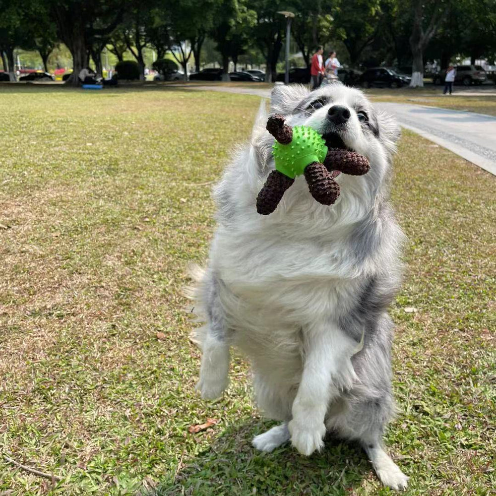 MUQMD squeaky dog toy waterproof inner layer helps keep stuffing clean