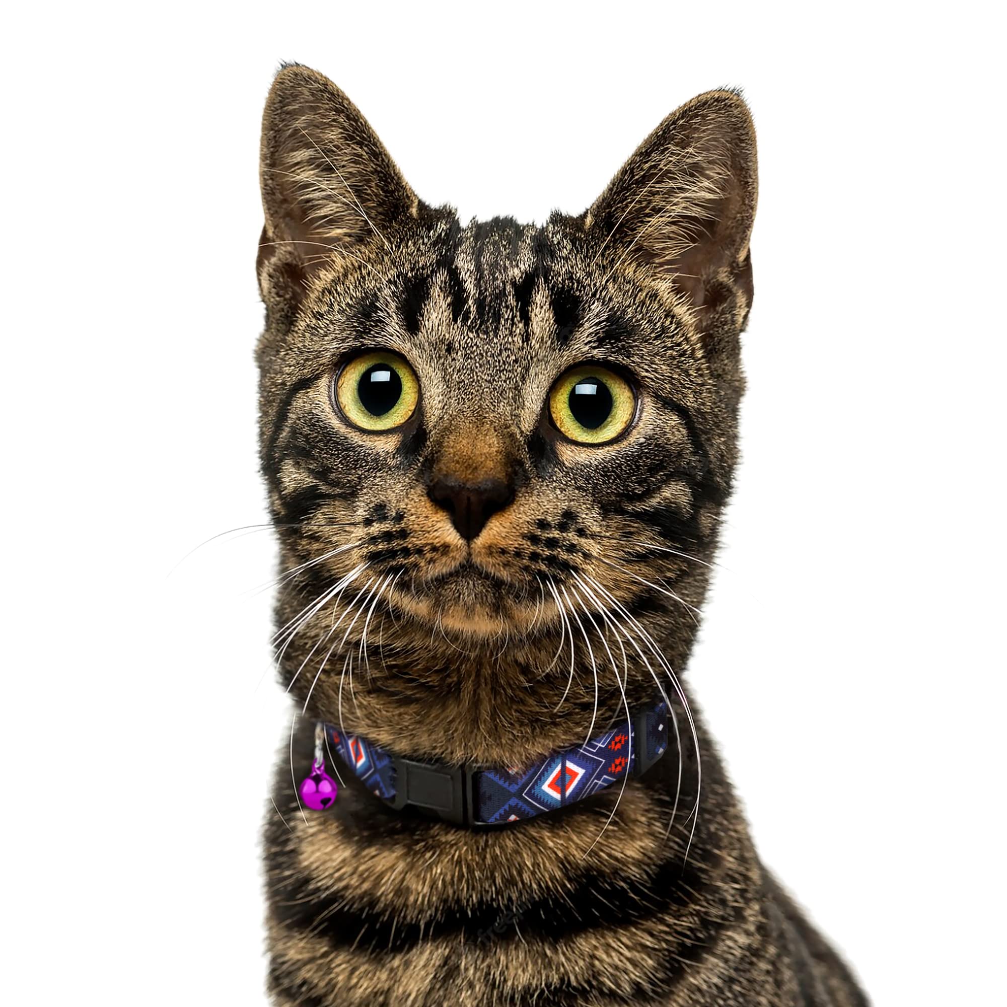 MUROM bell-equipped collar close-up highlighting audible alerts
