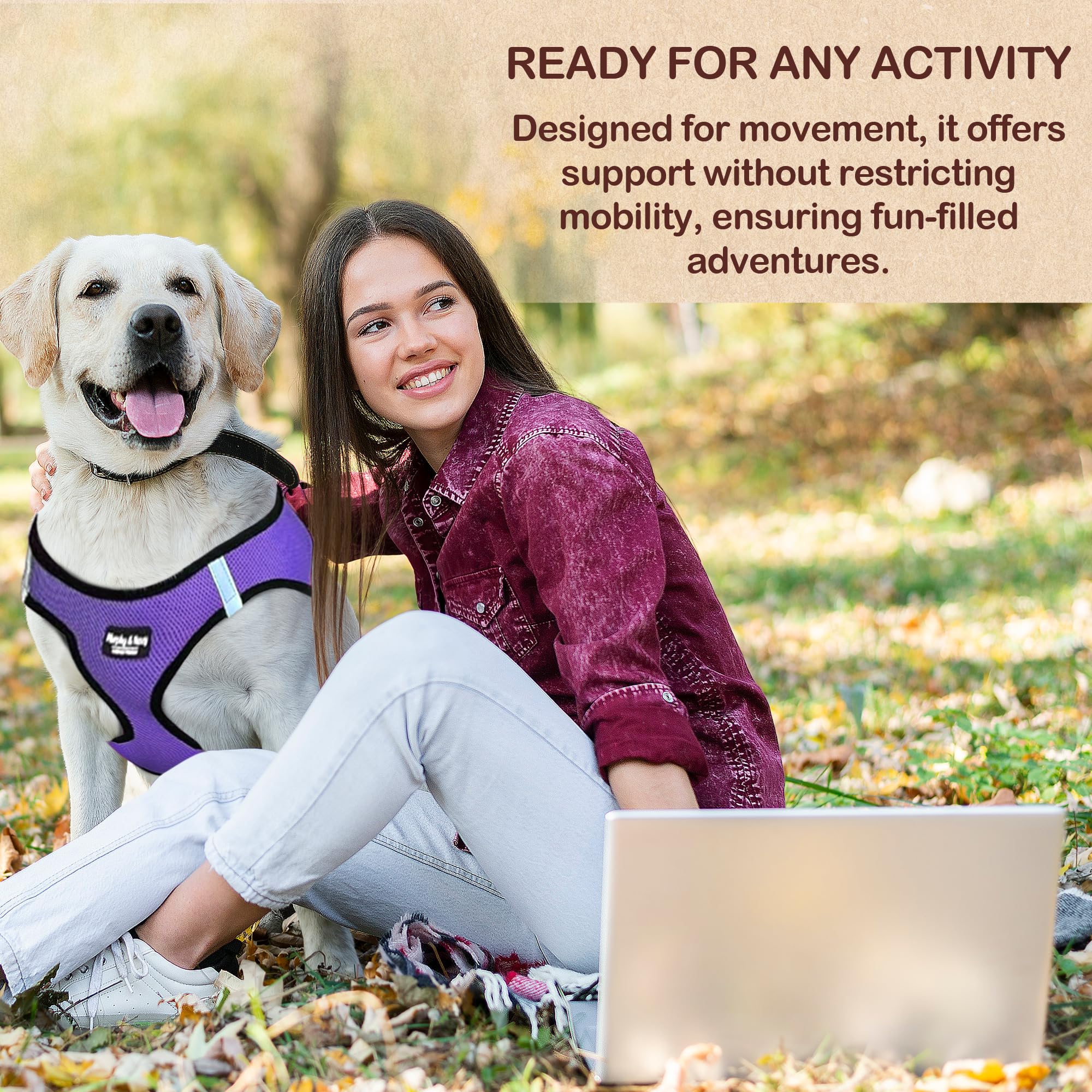 Murphy & Roxy No-Pull Harness designed for active dogs during walking and play.
