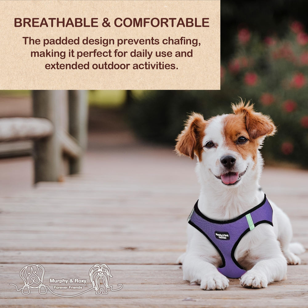 Murphy & Roxy No-Pull Harness adjustable fit ensures secure, comfy wear during training.