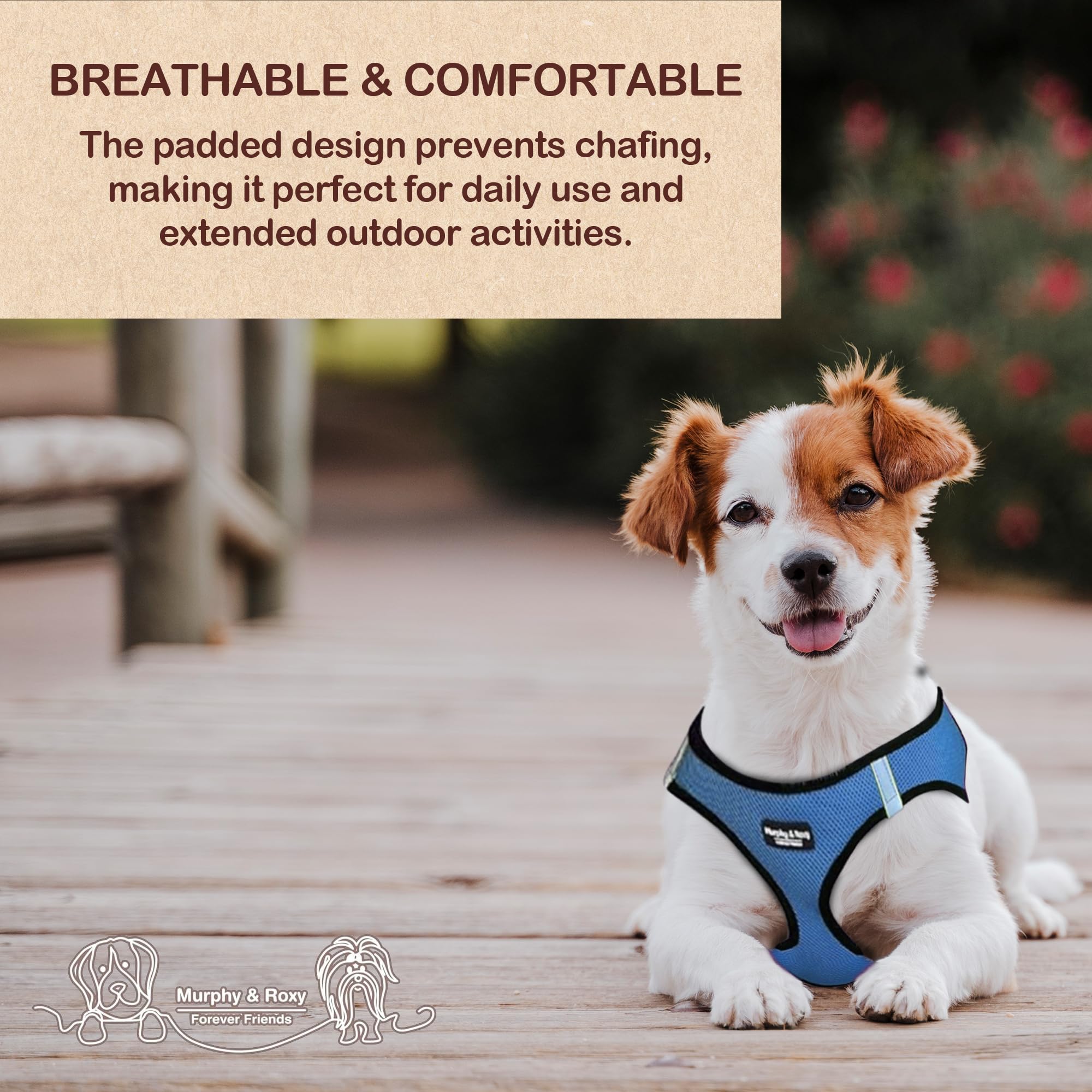 Murphy & Roxy No-Pull Harness blue size S adjustable strap customizable fit for active dogs