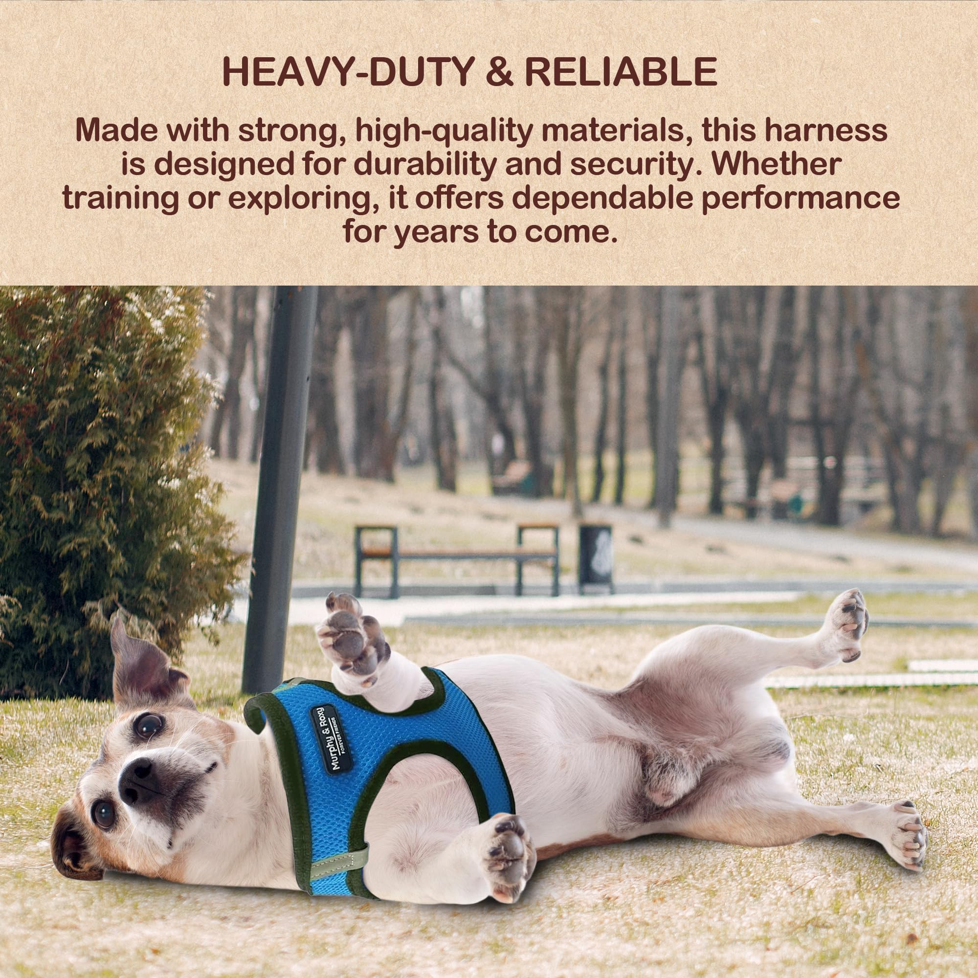 Murphy & Roxy No-Pull Harness blue size S side fit stabilizing training