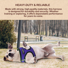 Murphy & Roxy No-Pull Harness breathable mesh keeps dogs cool on long strolls.