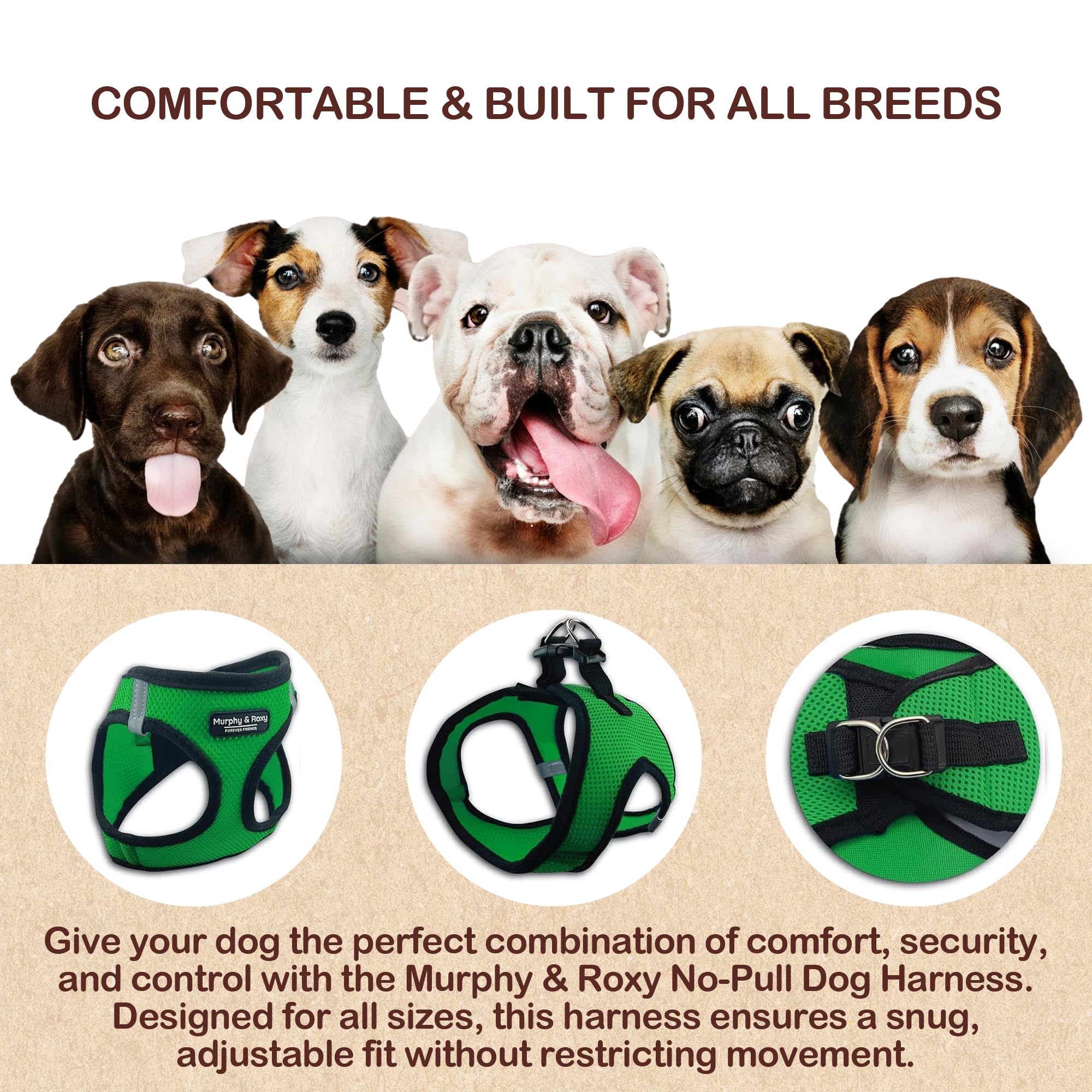 Murphy & Roxy No-Pull Harness green adjustable straps for secure fit
