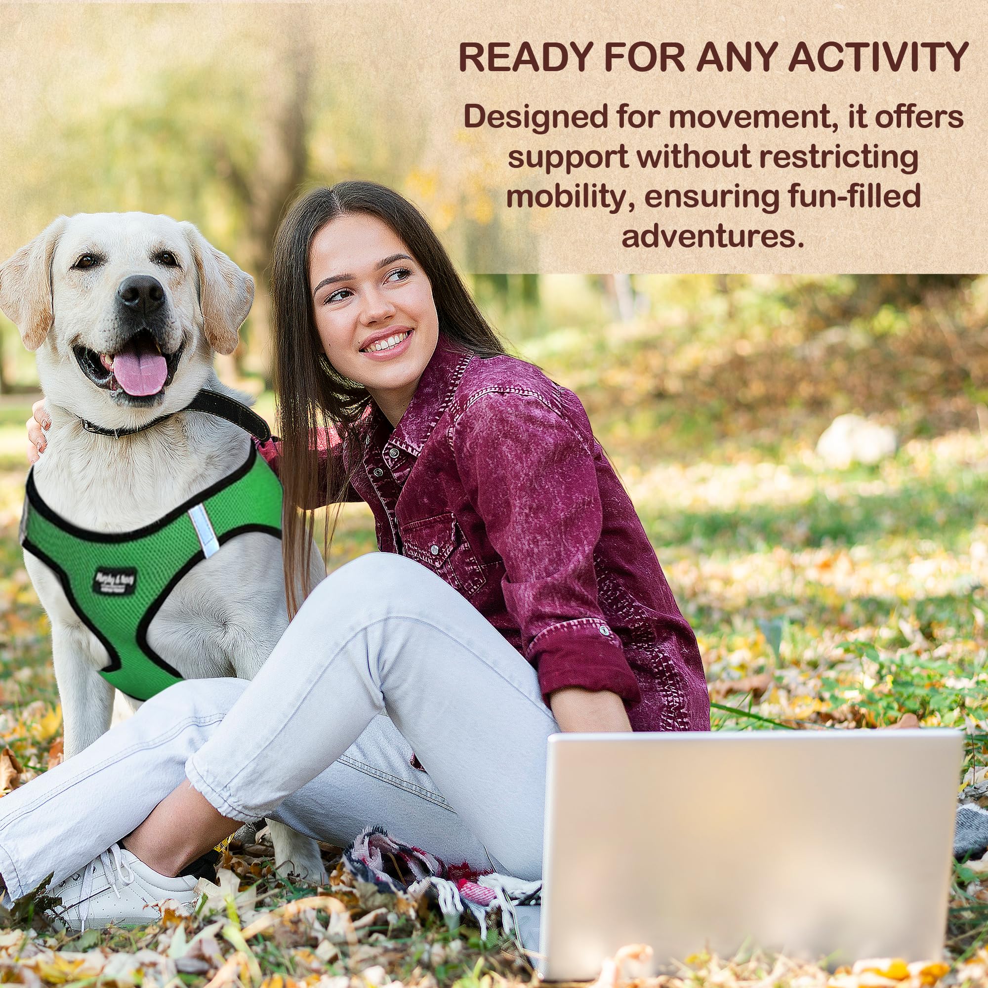 Murphy & Roxy No-Pull Harness green padded mesh interior for all-day comfort