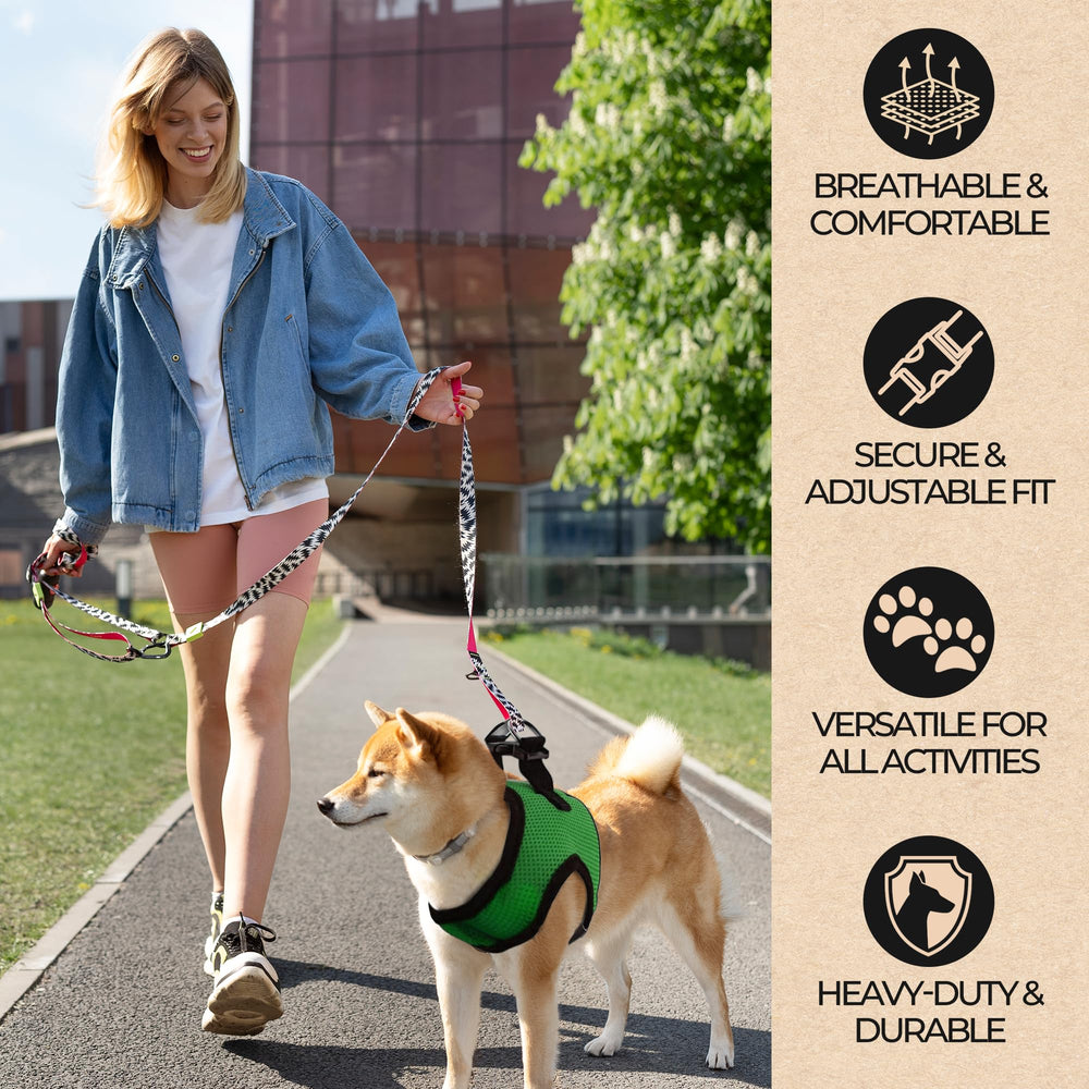 Murphy & Roxy adjustable-fit harness close-up—secure, snug support