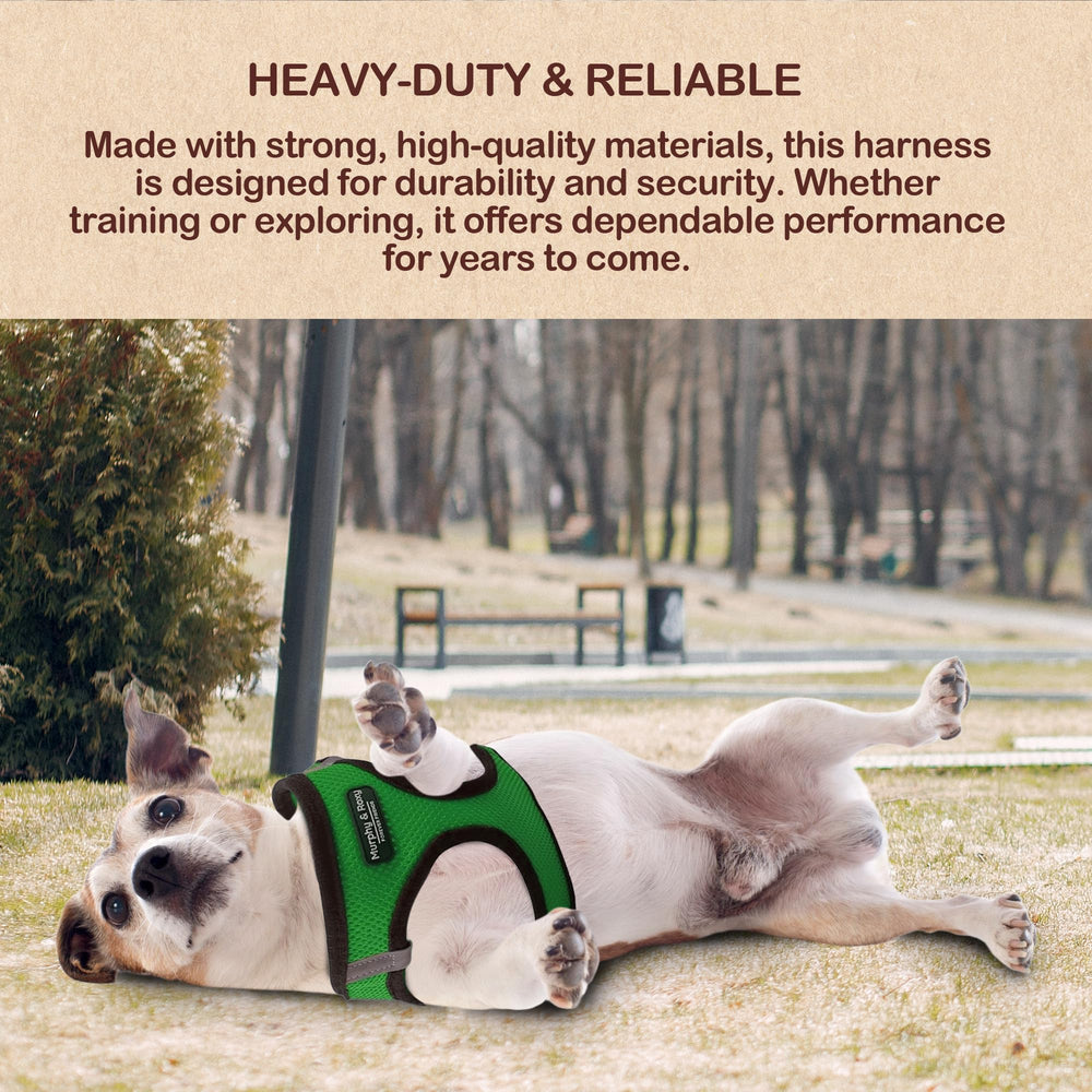 Murphy & Roxy harness mesh fabric close-up—breathable comfort for long walks