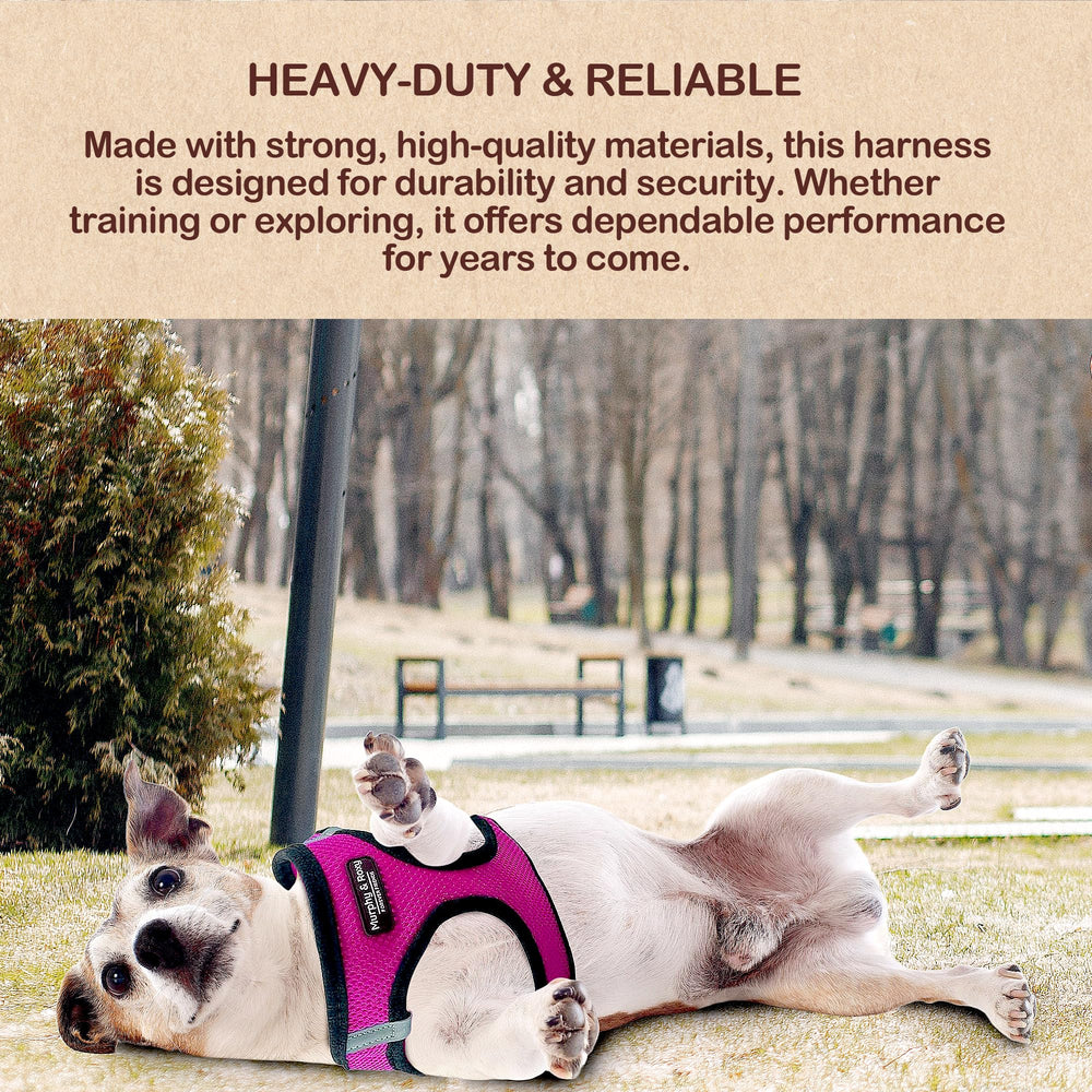 Murphy & Roxy No-Pull Harness pink adjustable straps for a customizable fit.